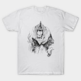 Mandrill T-Shirt